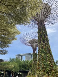 【高2】シンガポール・マレーシア修学旅行　～2日め～