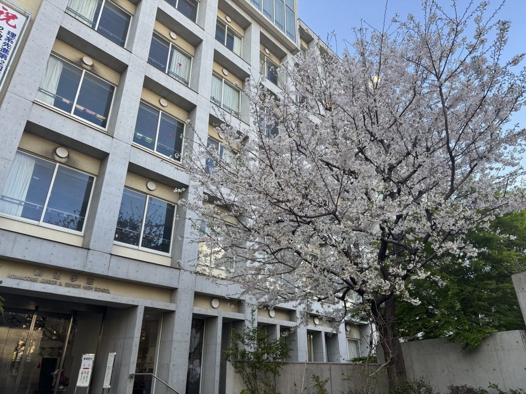 新年度スタート！